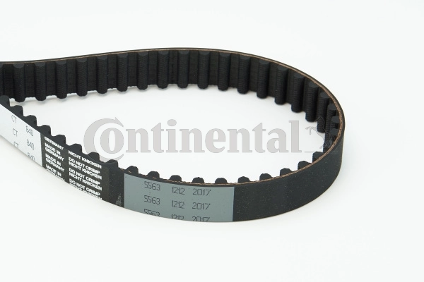 Timing Belt